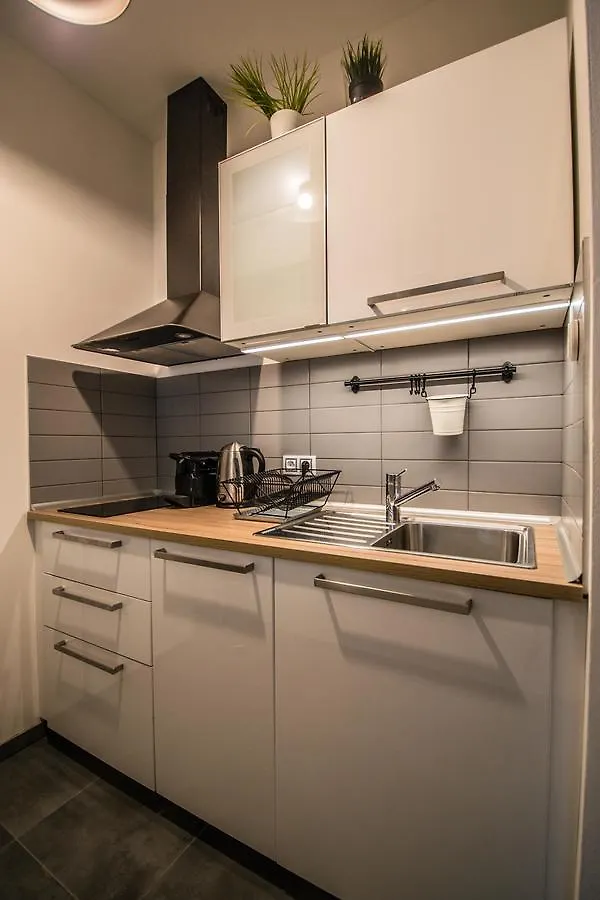 Executive Bright Apt. By Ruterra Apartment Prague